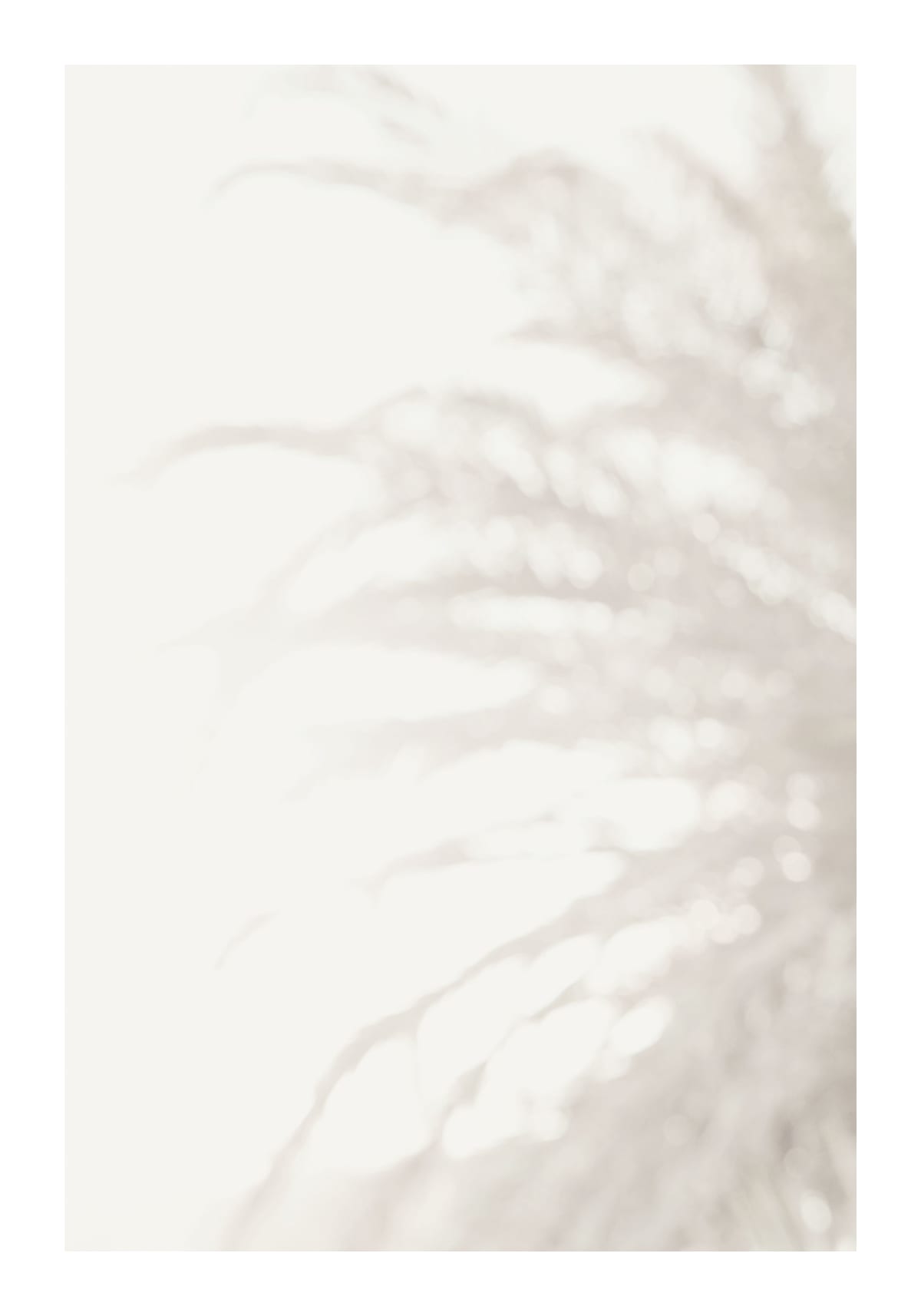variant-70x100_with-margin