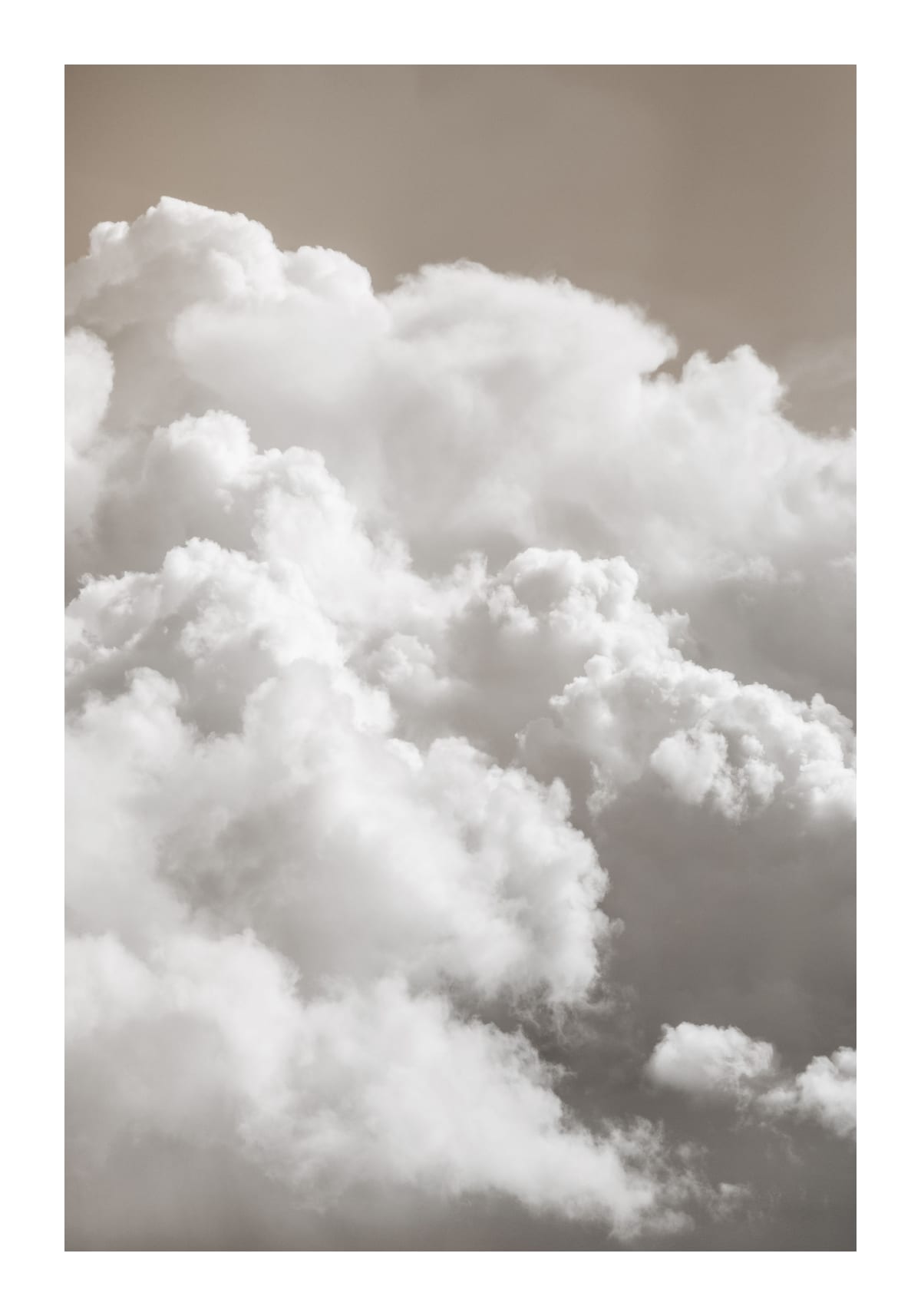 variant-70x100_with-margin