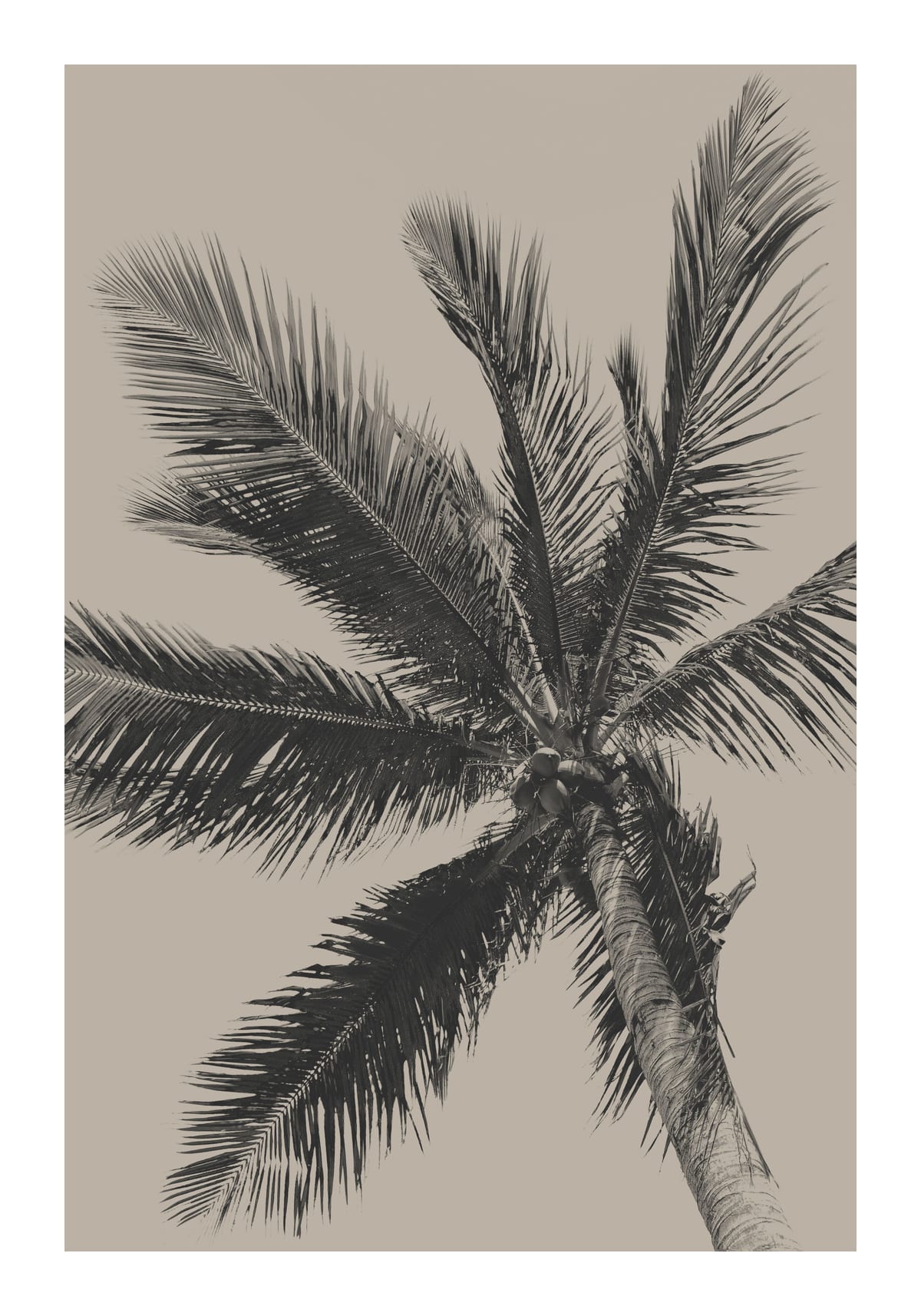 variant-70x100_with-margin