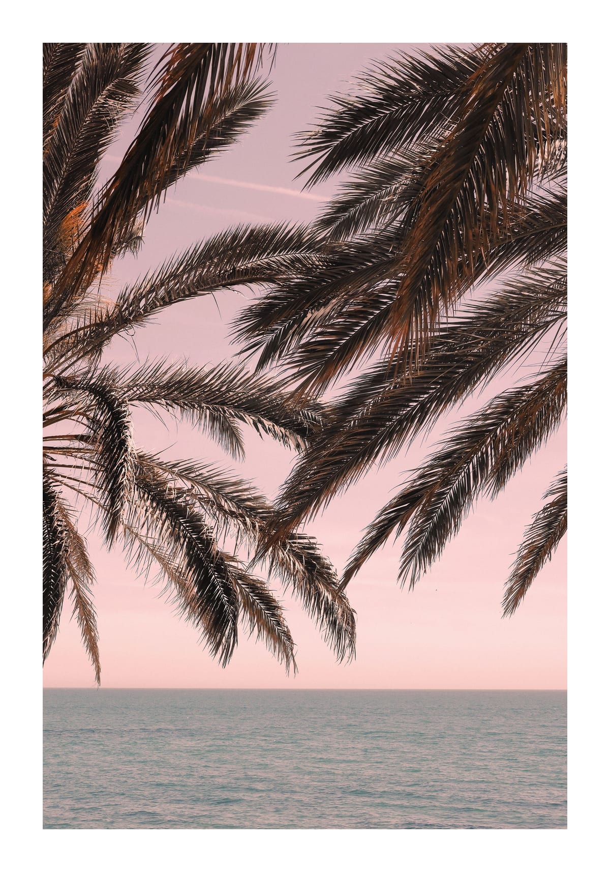 variant-70x100_with-margin