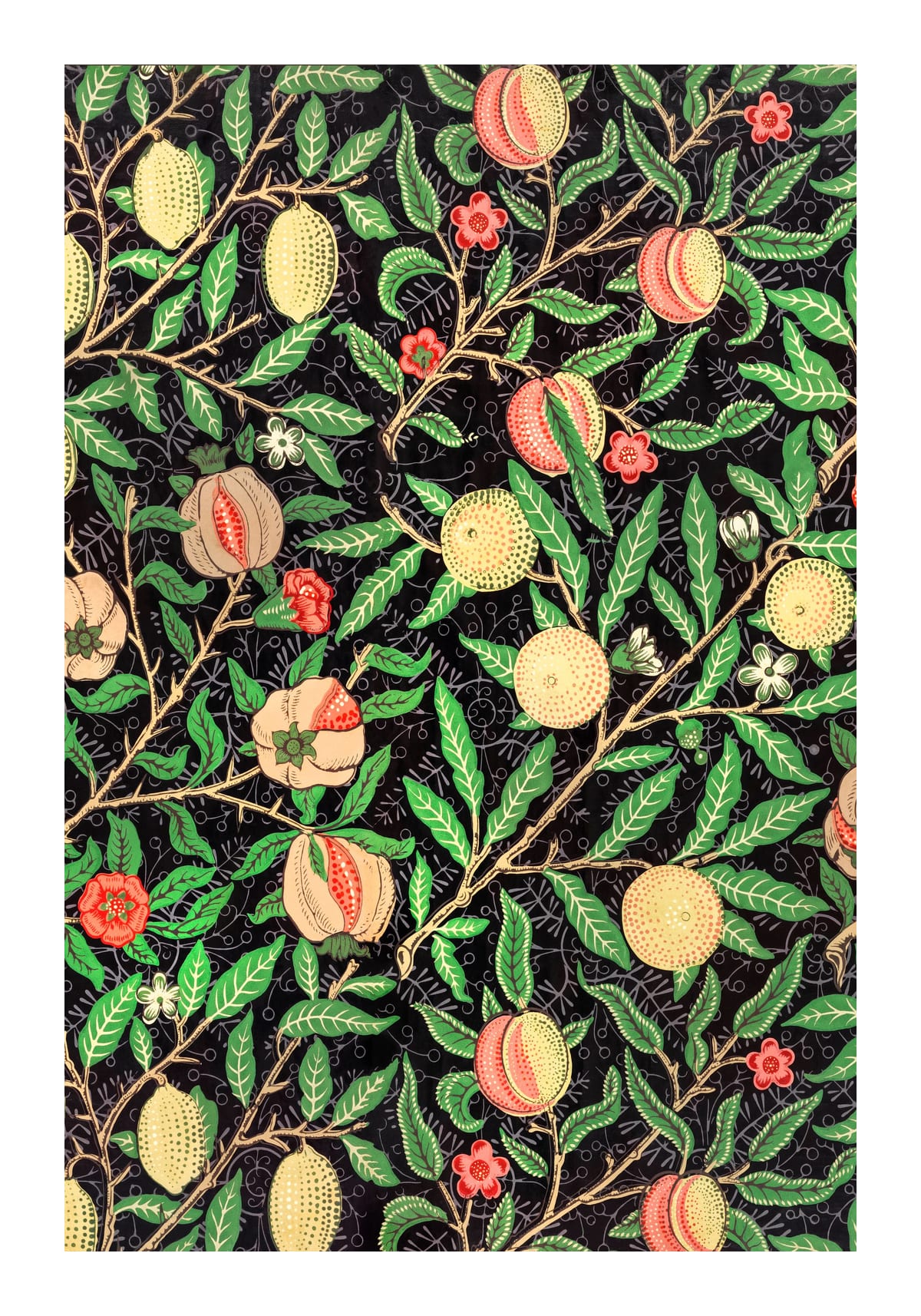 variant-70x100_with-margin