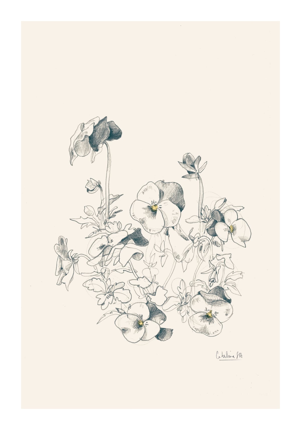 variant-70x100_with-margin