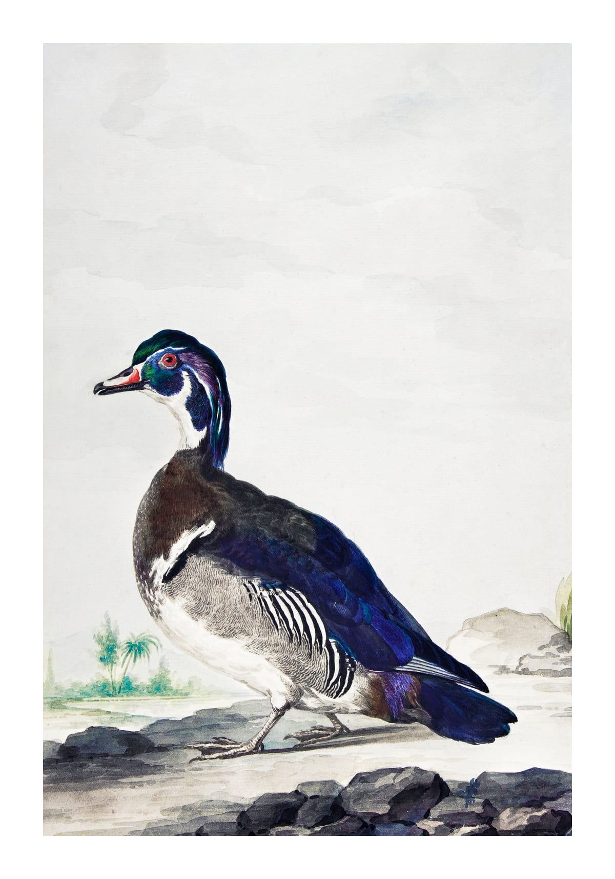 variant-70x100_with-margin