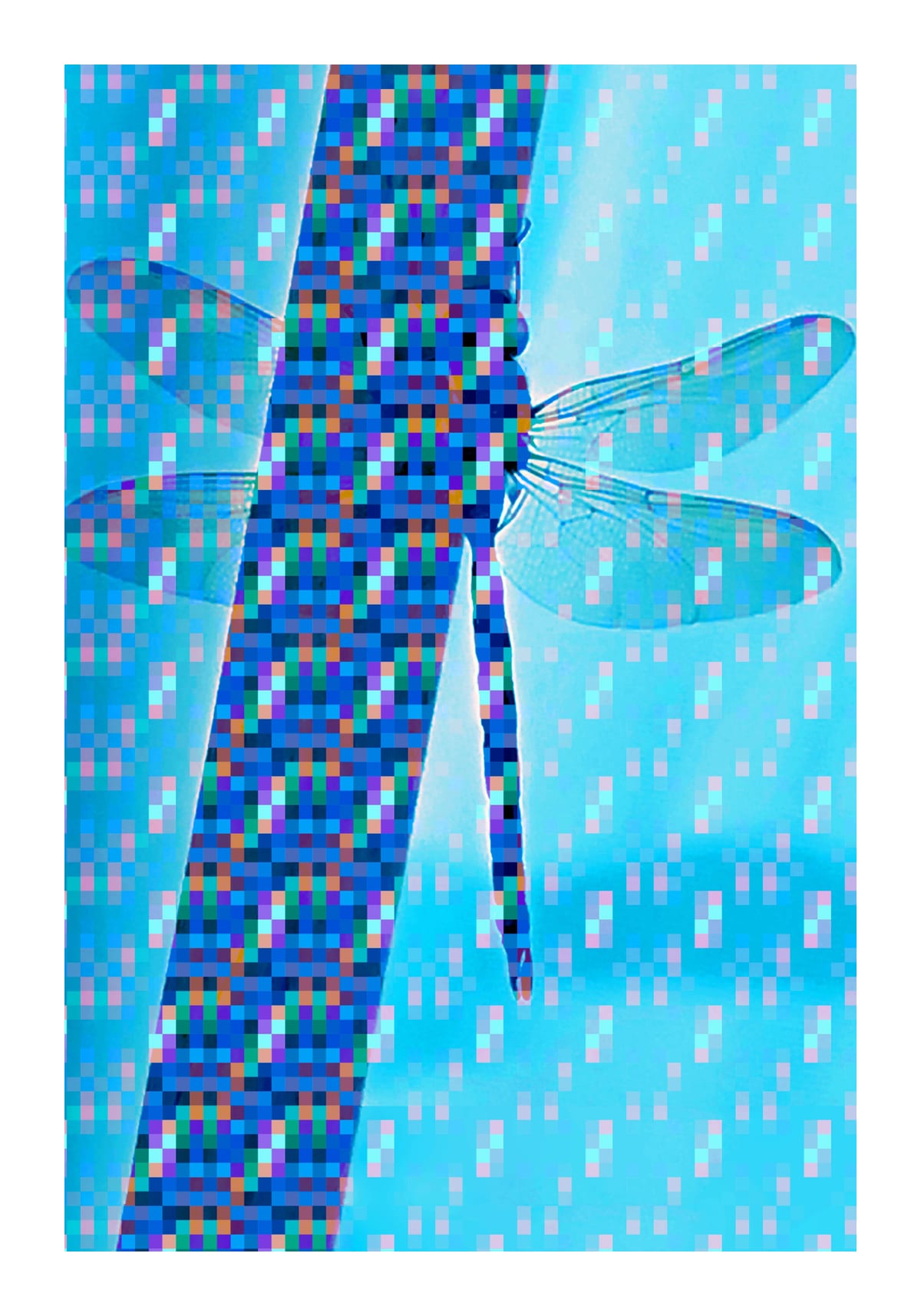 variant-70x100_with-margin