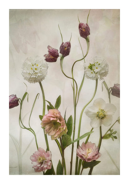variant-70x100_with-margin