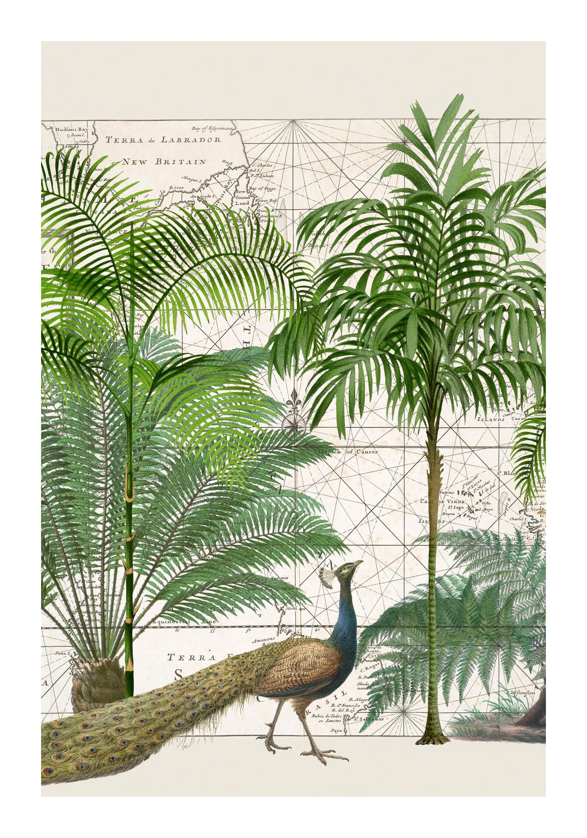 variant-70x100_with-margin