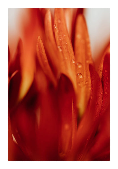 variant-70x100_with-margin