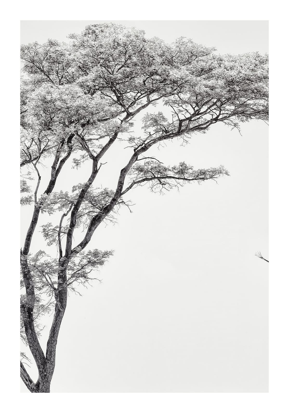 variant-70x100_with-margin