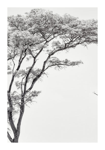 variant-70x100_with-margin