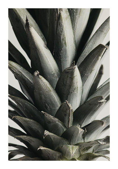variant-70x100_with-margin