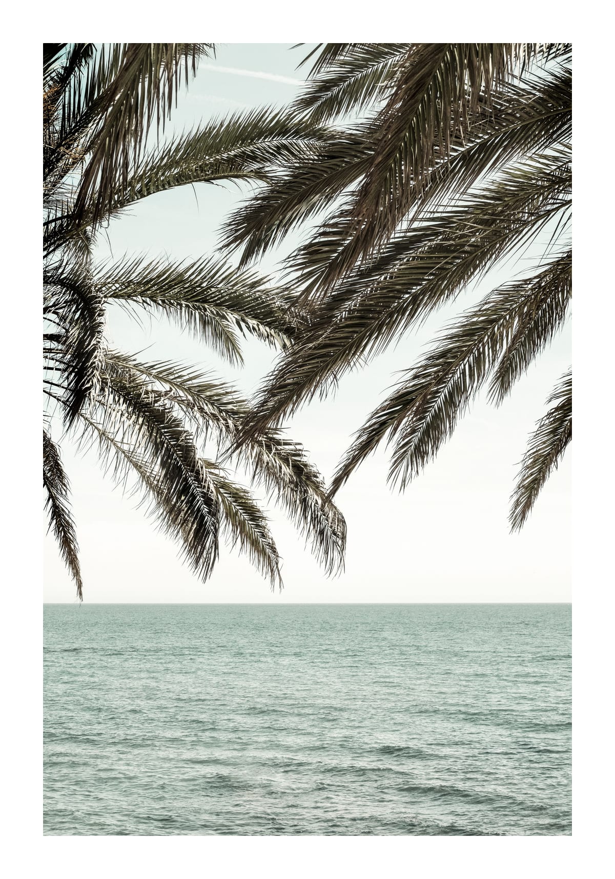 variant-70x100_with-margin