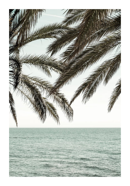 variant-70x100_with-margin