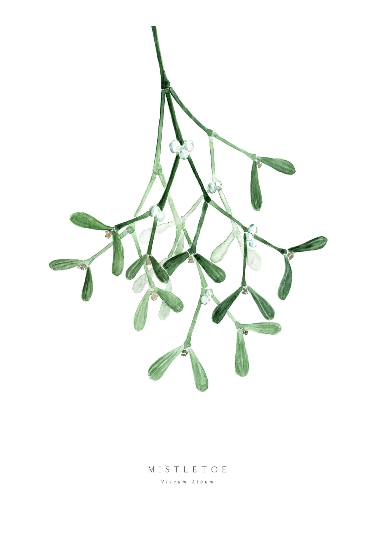 variant-70x100_with-margin