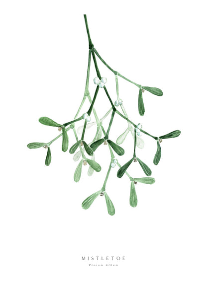 variant-70x100_with-margin