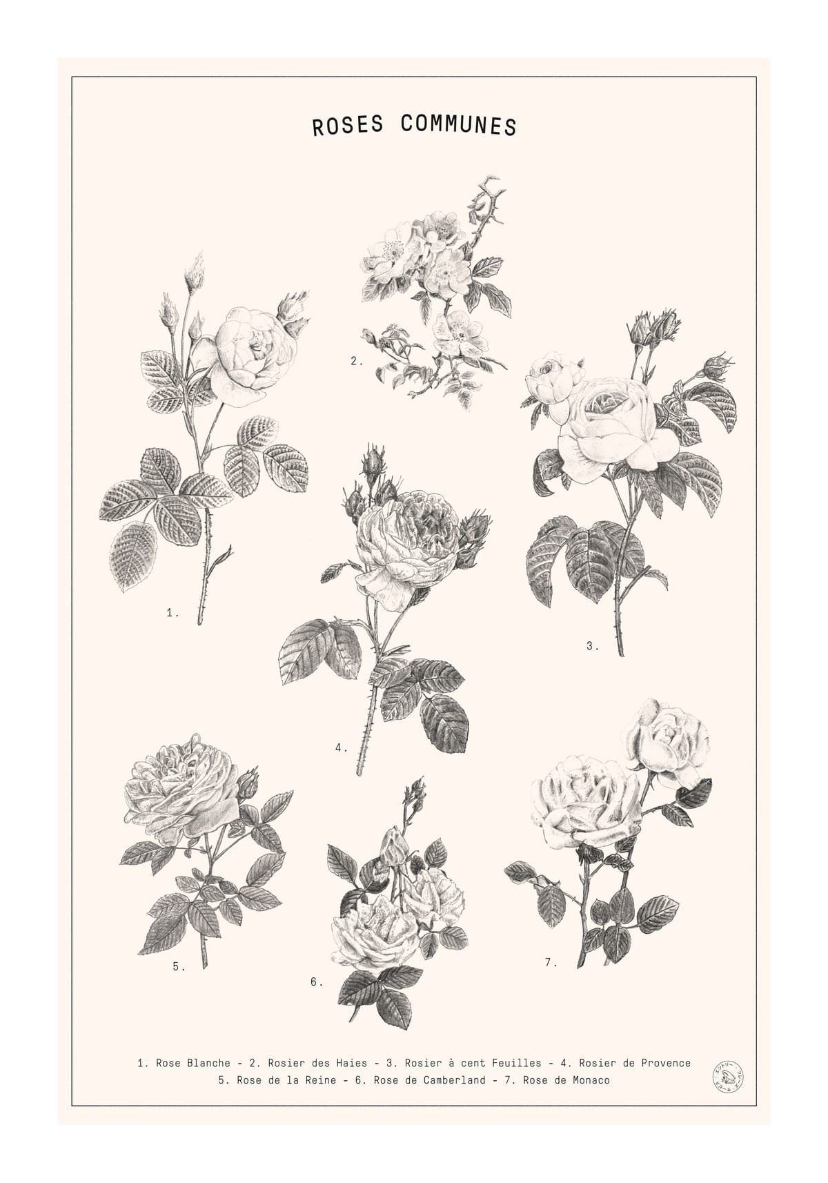 variant-70x100_with-margin