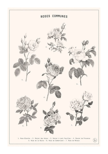 variant-70x100_with-margin