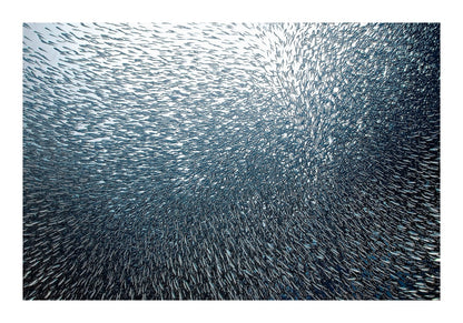 variant-70x100_with-margin