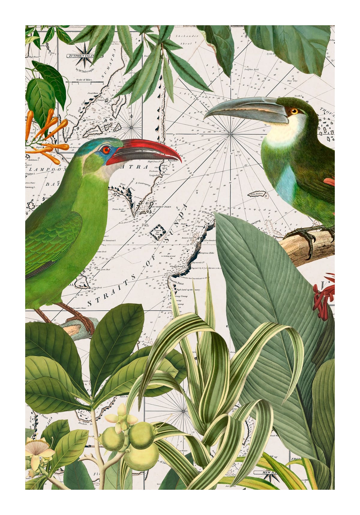 variant-70x100_with-margin
