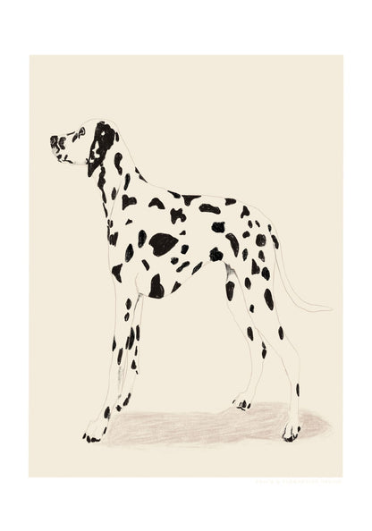 variant-70x100_with-margin