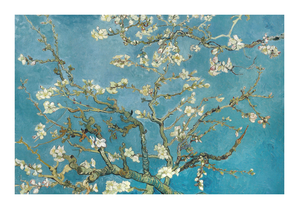variant-70x100_with-margin