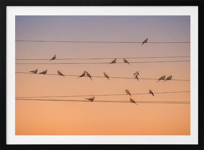 A photograph of numerous small birds perched on several parallel telephone wires against a gradient sunset sky that shifts from light purple to a warm orange. The entire image is enclosed in a silver frame. Artwork