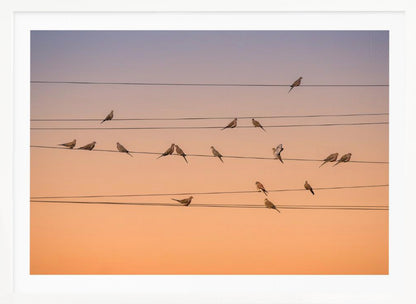 A photograph of numerous small birds perched on several parallel telephone wires against a gradient sunset sky that shifts from light purple to a warm orange. The entire image is enclosed in a silver frame. Artwork