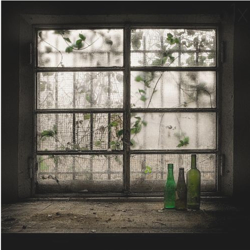 A moody photograph of three dusty green glass bottles sitting on a dirty windowsill in a dark, abandoned room. Behind them, a large, grimy, multi-paned window with wire mesh lets in dim light, revealing the silhouettes of overgrown vines outside. Poster