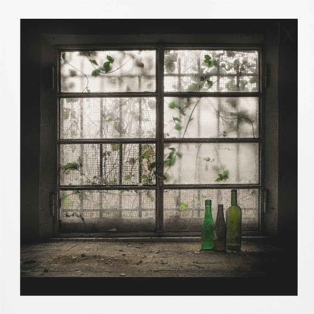 A moody photograph of three dusty green glass bottles sitting on a dirty windowsill in a dark, abandoned room. Behind them, a large, grimy, multi-paned window with wire mesh lets in dim light, revealing the silhouettes of overgrown vines outside. Poster