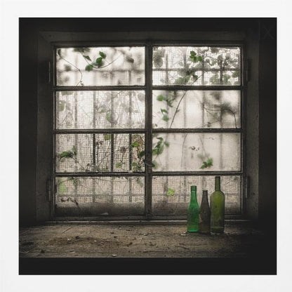 A moody photograph of three dusty green glass bottles sitting on a dirty windowsill in a dark, abandoned room. Behind them, a large, grimy, multi-paned window with wire mesh lets in dim light, revealing the silhouettes of overgrown vines outside. Poster