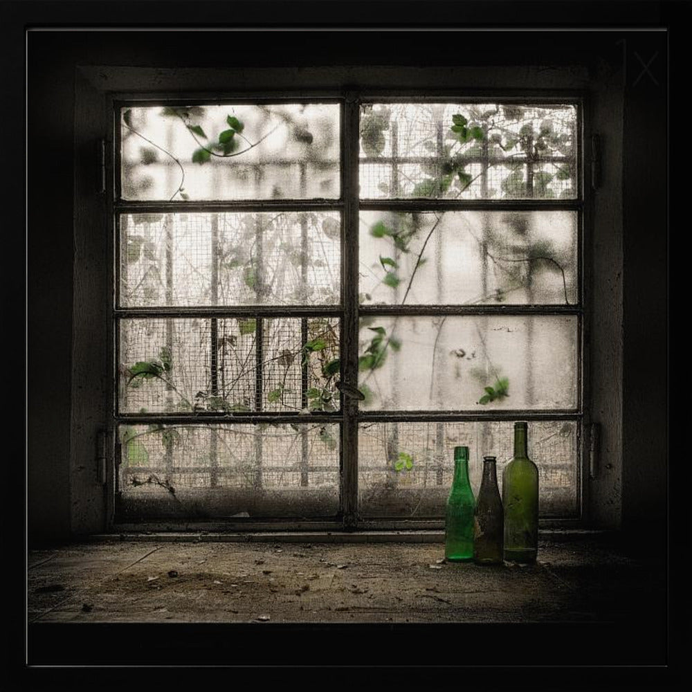 A moody photograph of three dusty green glass bottles sitting on a dirty windowsill in a dark, abandoned room. Behind them, a large, grimy, multi-paned window with wire mesh lets in dim light, revealing the silhouettes of overgrown vines outside. Poster