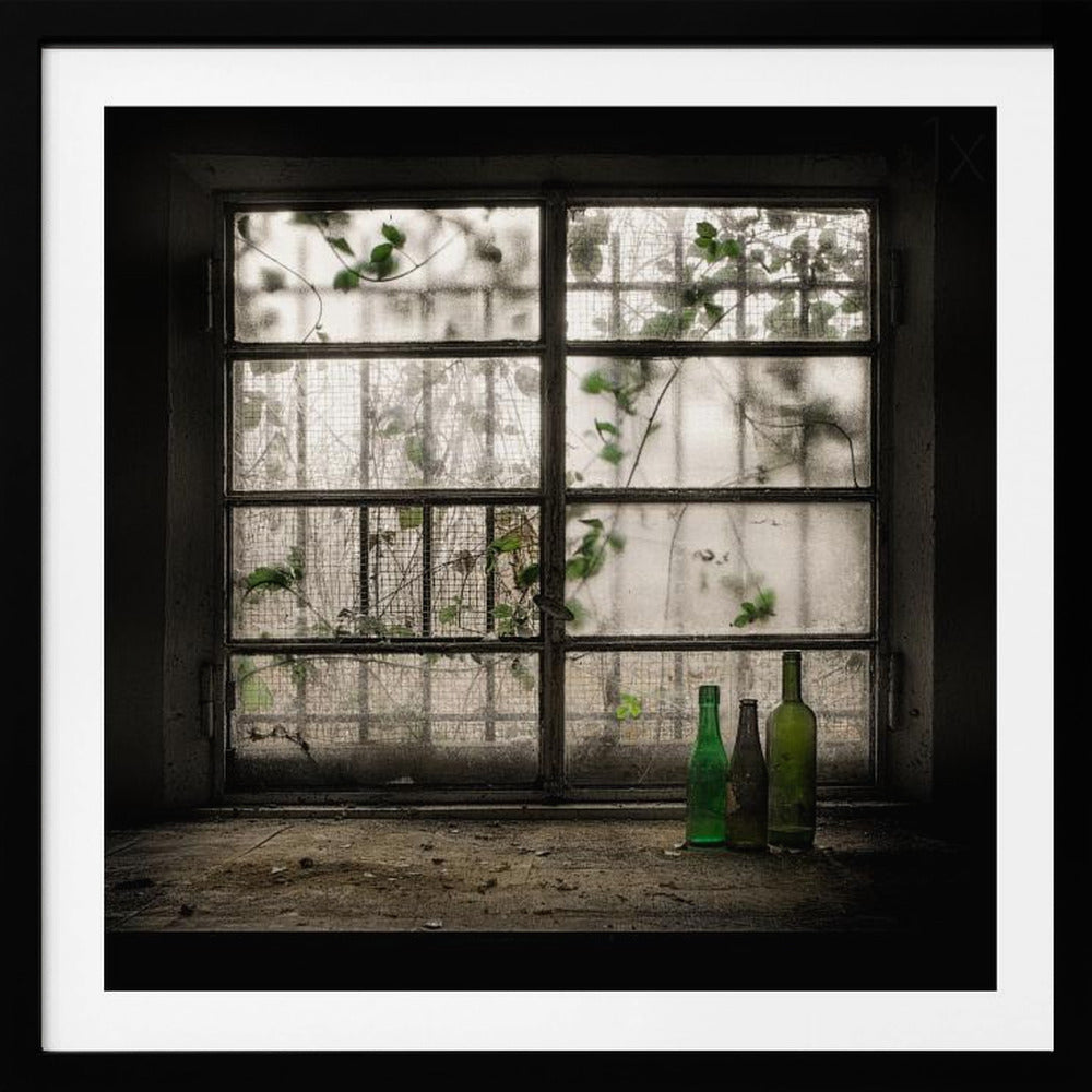 A moody photograph of three dusty green glass bottles sitting on a dirty windowsill in a dark, abandoned room. Behind them, a large, grimy, multi-paned window with wire mesh lets in dim light, revealing the silhouettes of overgrown vines outside. Poster
