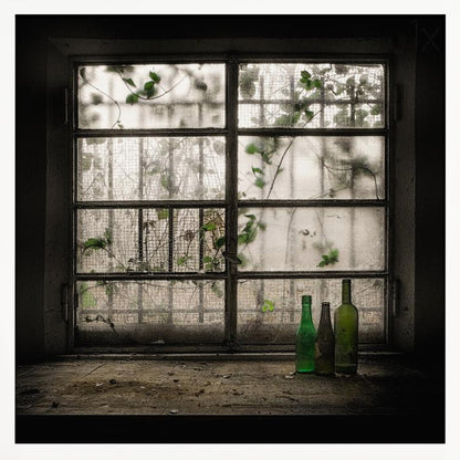 A moody photograph of three dusty green glass bottles sitting on a dirty windowsill in a dark, abandoned room. Behind them, a large, grimy, multi-paned window with wire mesh lets in dim light, revealing the silhouettes of overgrown vines outside. Poster