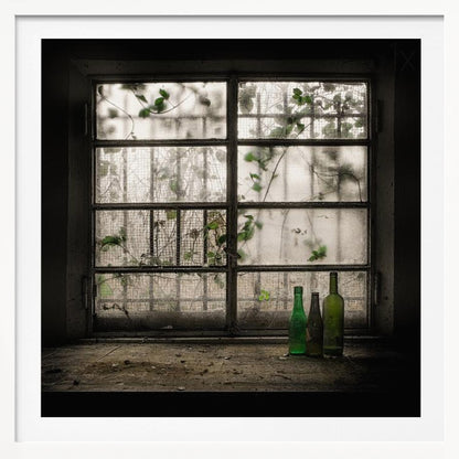 A moody photograph of three dusty green glass bottles sitting on a dirty windowsill in a dark, abandoned room. Behind them, a large, grimy, multi-paned window with wire mesh lets in dim light, revealing the silhouettes of overgrown vines outside. Poster