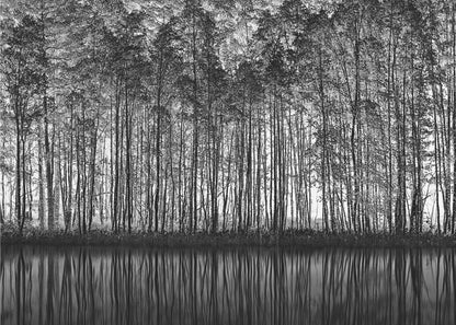 A framed black and white photograph of a dense forest of tall, slender trees reflected perfectly in the calm water below, creating a symmetrical and dramatic landscape. Poster
