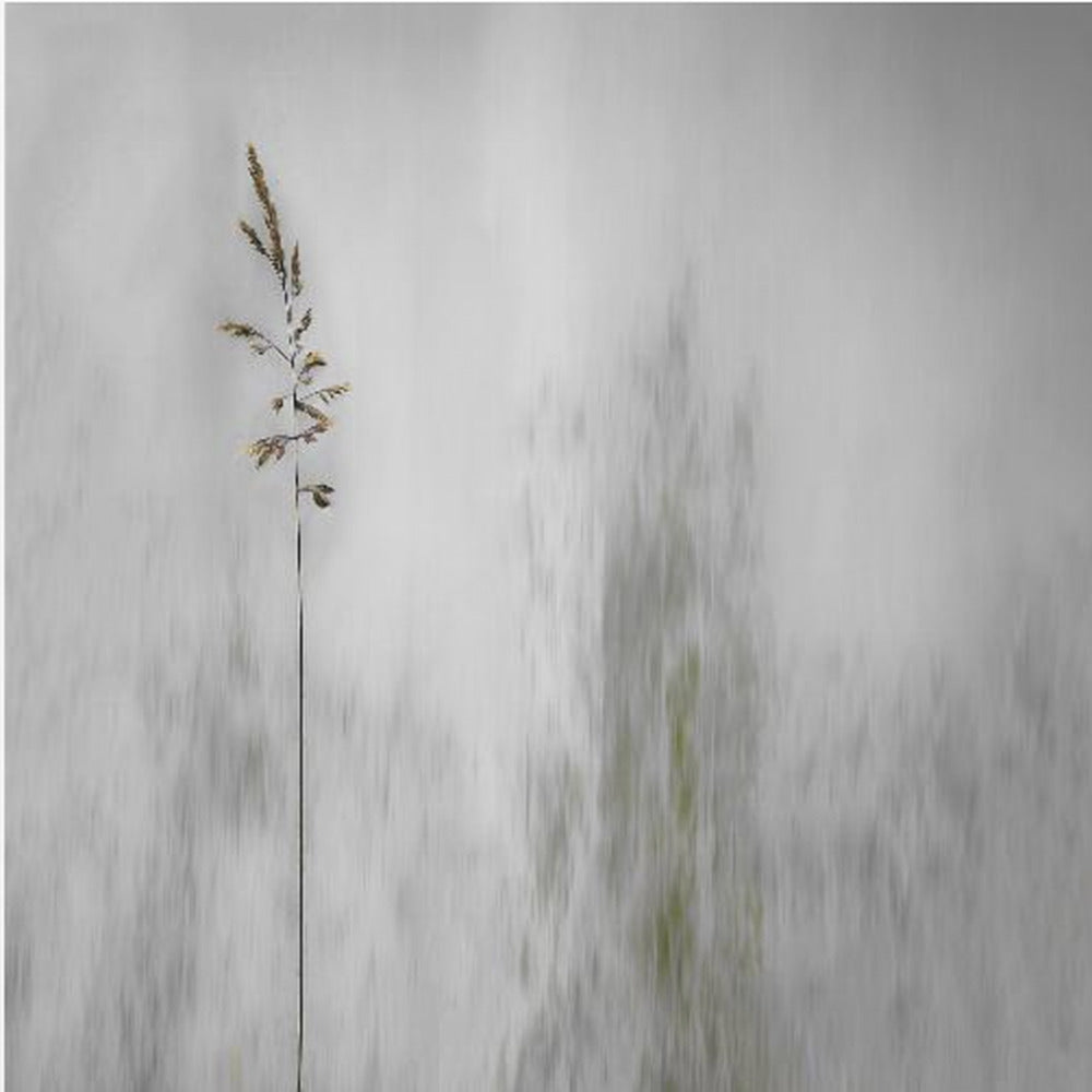 A minimalist photograph in a light wood frame featuring a single, delicate stalk of wild grass in sharp focus against a soft, vertically blurred background of gray and muted green tones, creating a tranquil and artistic impression. Print