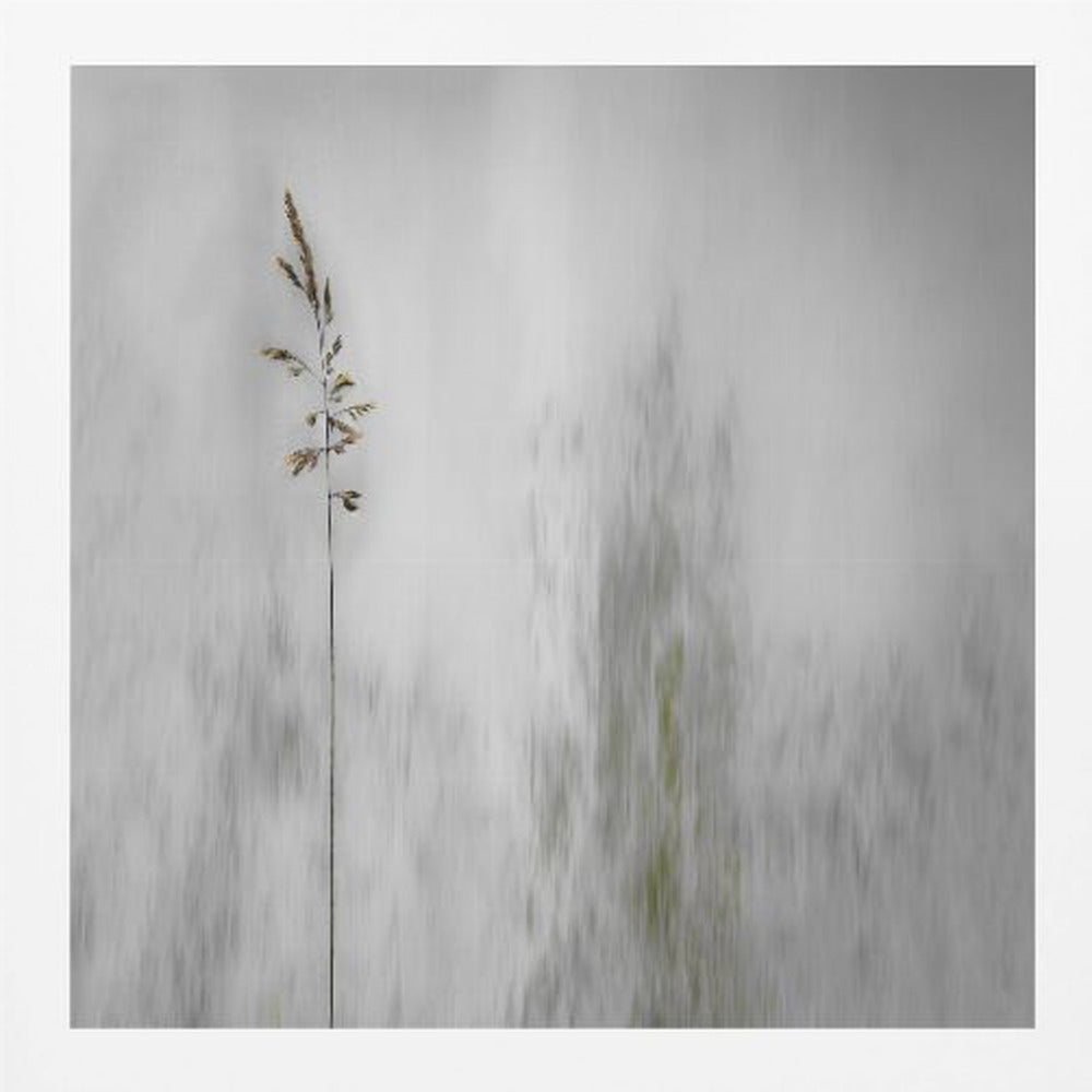 A minimalist photograph in a light wood frame featuring a single, delicate stalk of wild grass in sharp focus against a soft, vertically blurred background of gray and muted green tones, creating a tranquil and artistic impression. Print