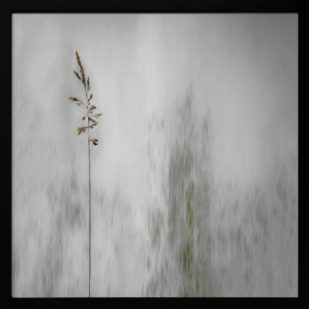 A minimalist photograph in a light wood frame featuring a single, delicate stalk of wild grass in sharp focus against a soft, vertically blurred background of gray and muted green tones, creating a tranquil and artistic impression. Print