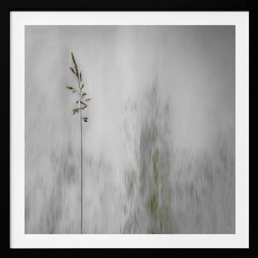 A minimalist photograph in a light wood frame featuring a single, delicate stalk of wild grass in sharp focus against a soft, vertically blurred background of gray and muted green tones, creating a tranquil and artistic impression. Print