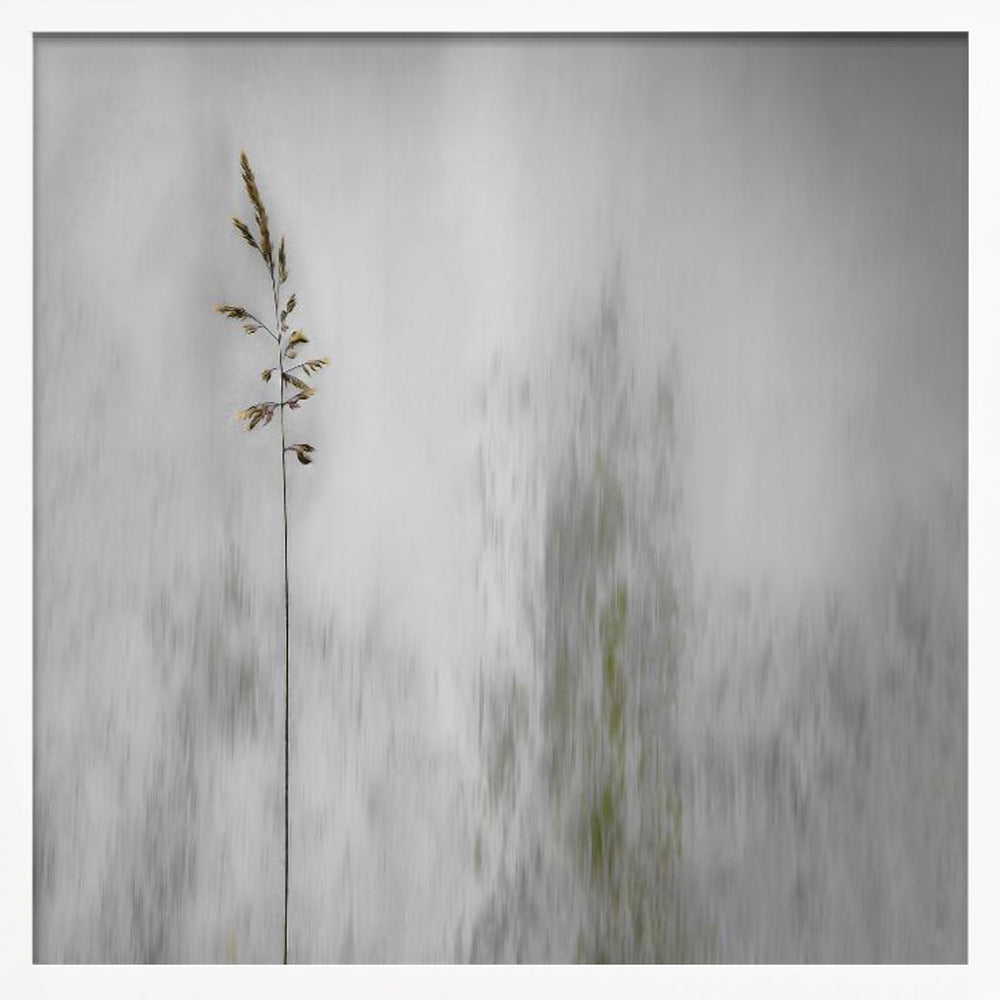 A minimalist photograph in a light wood frame featuring a single, delicate stalk of wild grass in sharp focus against a soft, vertically blurred background of gray and muted green tones, creating a tranquil and artistic impression. Print