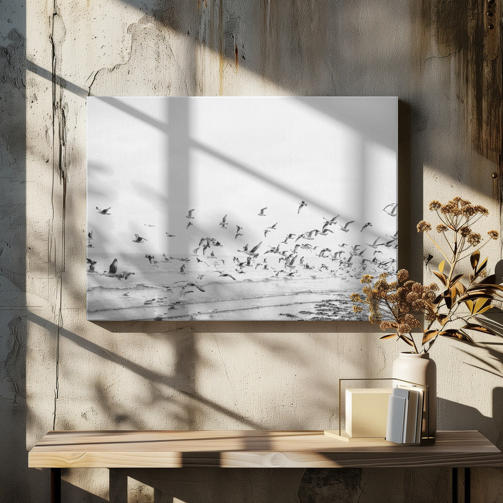 Seagulls - Coastal black and white - Poster / Art Print - interiör