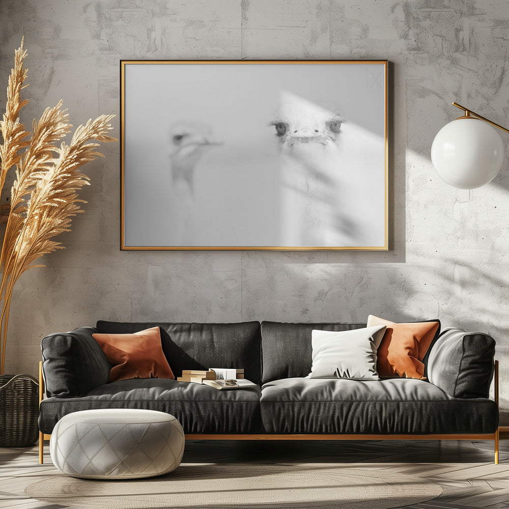 Funny ostrich - Poster / Art Print - interiör