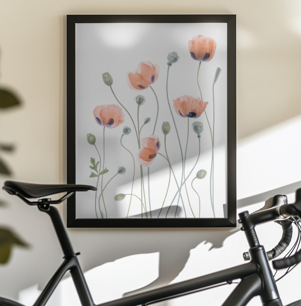 Poppies - Poster / Art Print - interiör