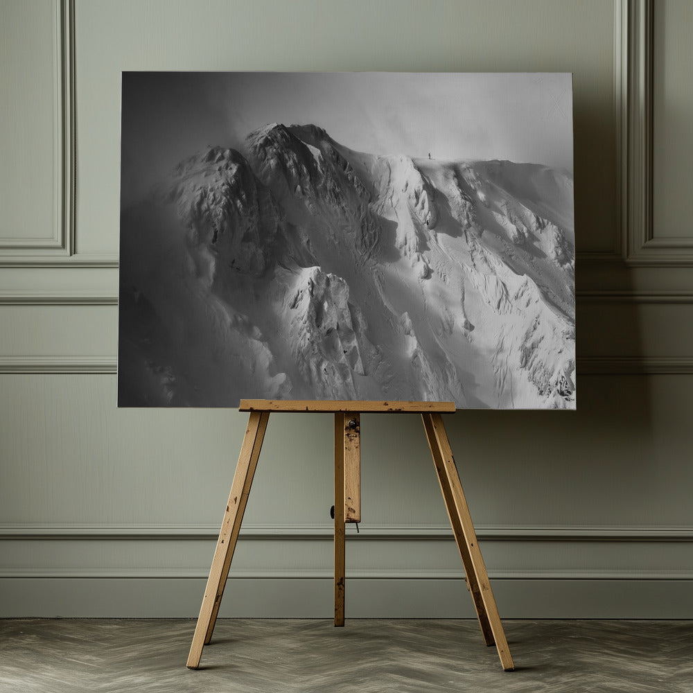 freeride . . - Poster / Art Print - interiör