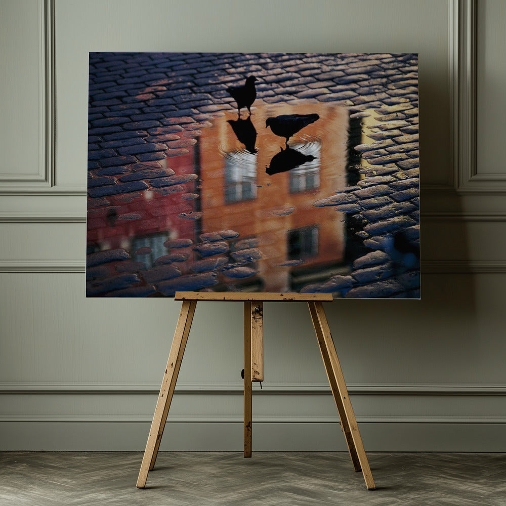 Pigeons - Poster / Art Print - interiör