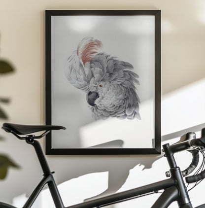 Cockatoo Head - Poster / Art Print - interiör