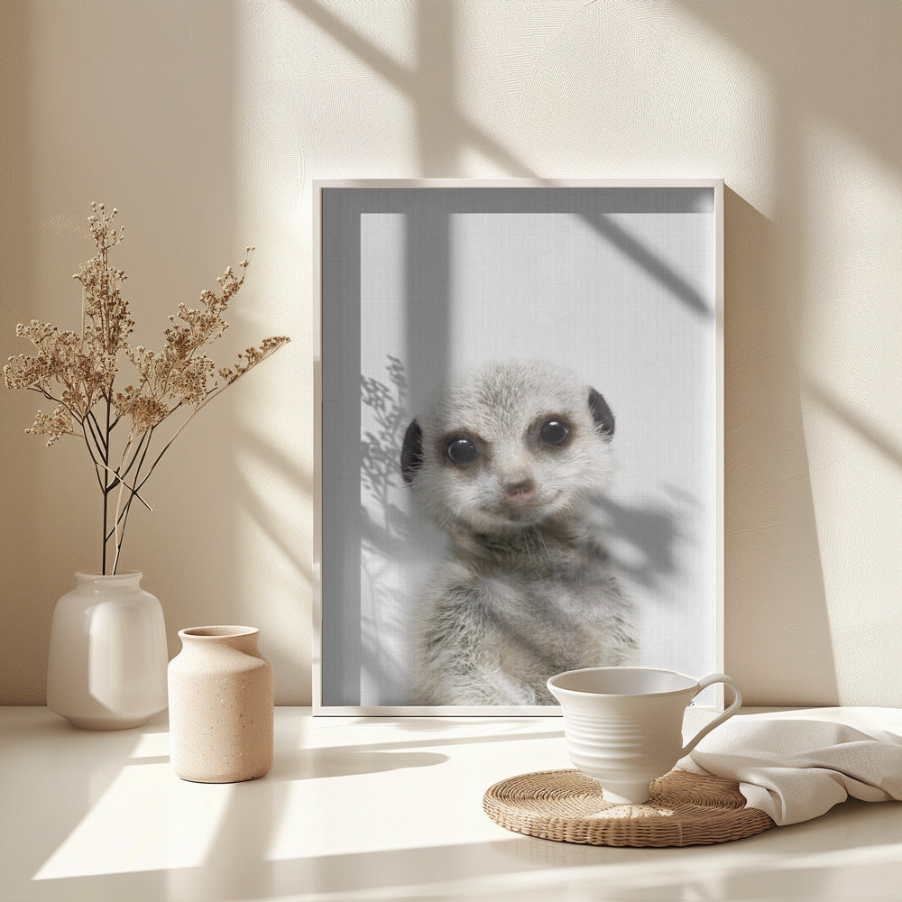 Peekaboo Baby Meerkat - Poster / Art Print - interiör
