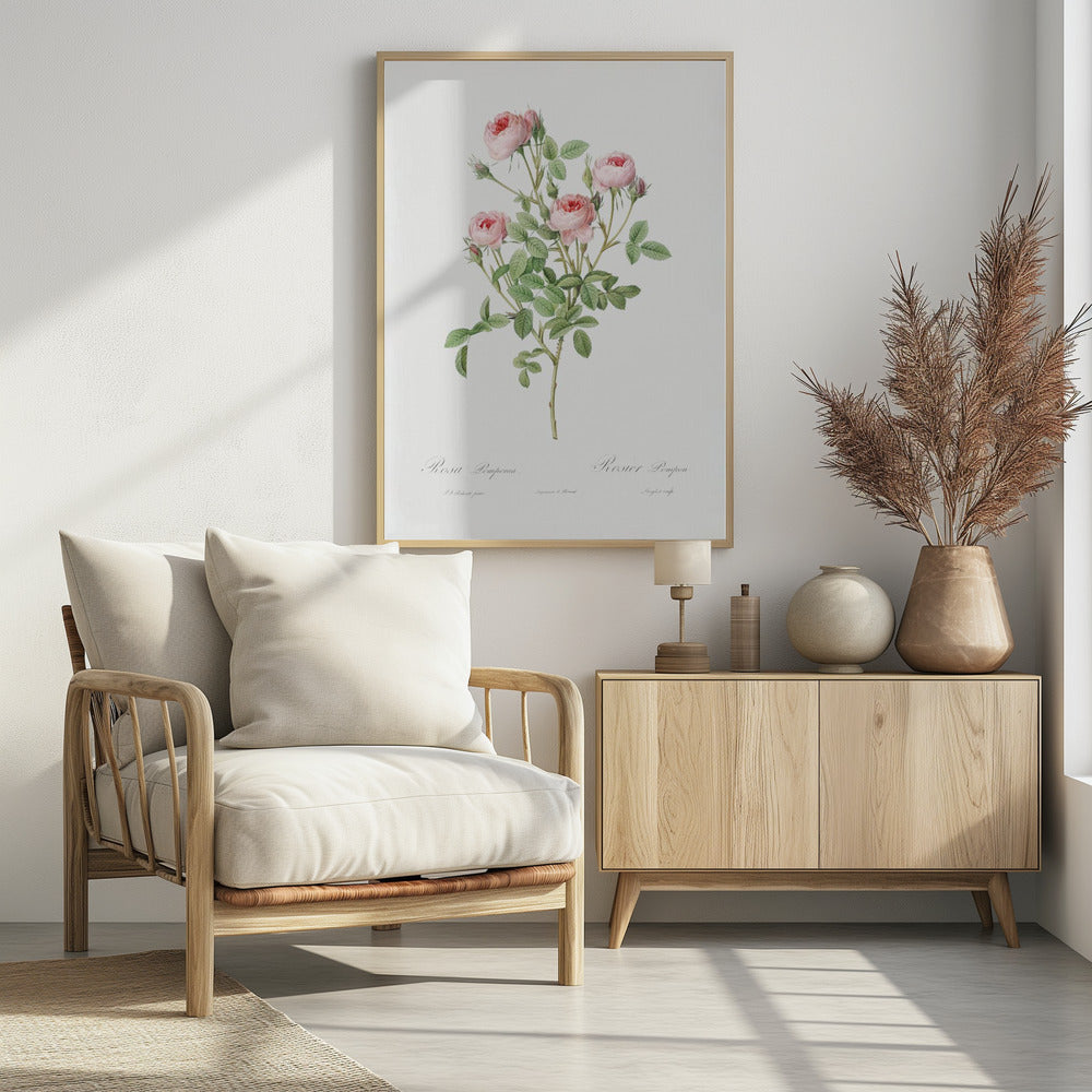 Burgundian Rose, Les Roses (1817–1824) - Poster / Art Print - interiör