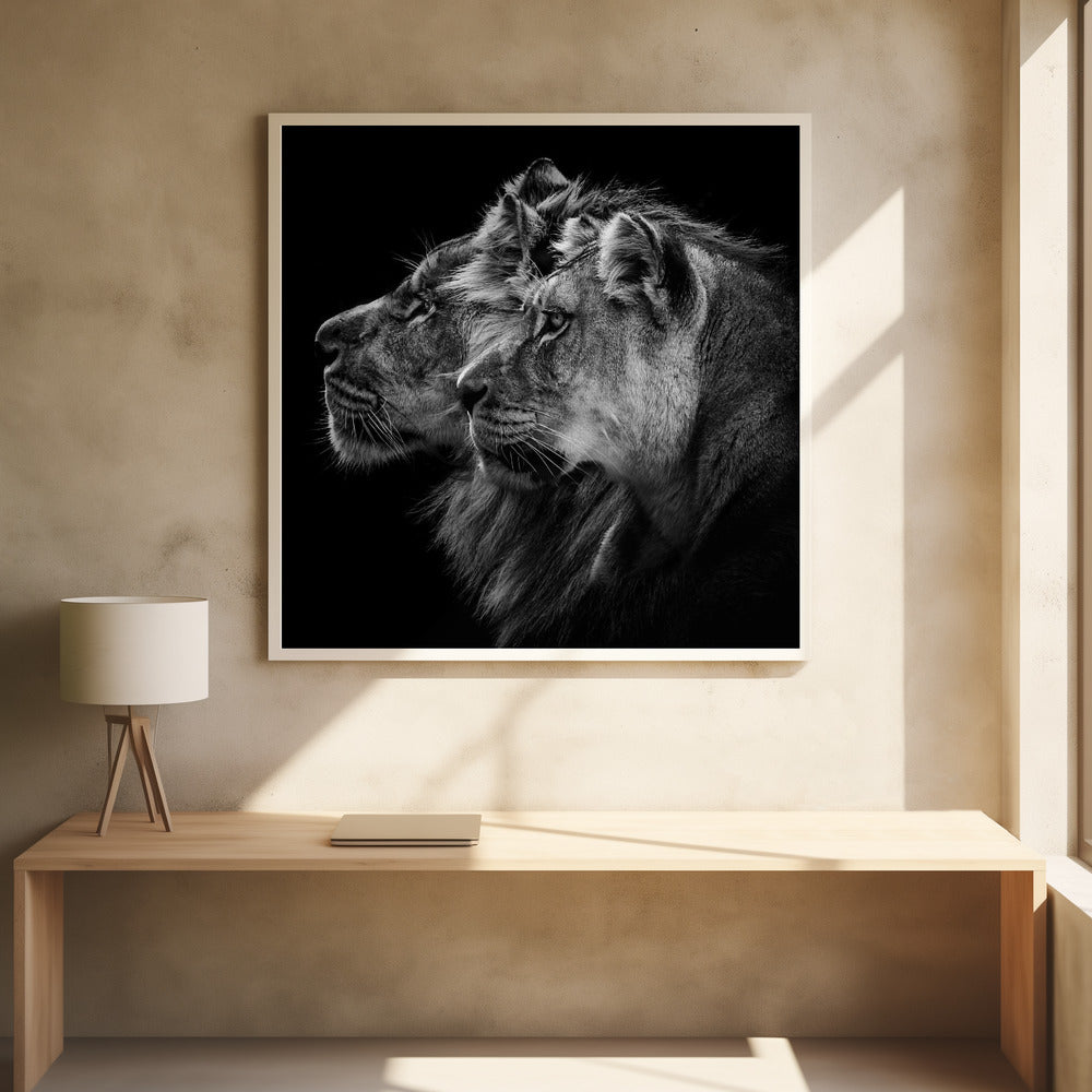 Lion and  lioness portrait - Poster / Art Print - interiör