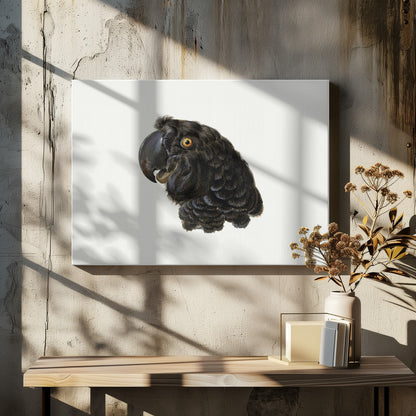 Cockatoo - Poster / Art Print - interiör