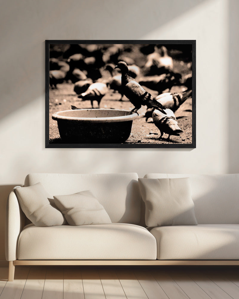 Birds 05 - Poster / Art Print - interiör